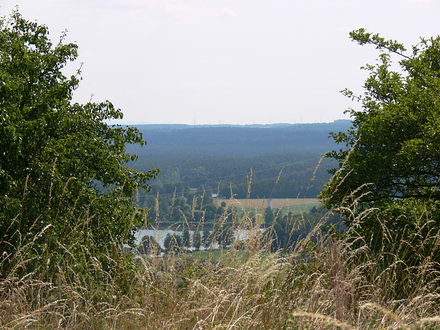 Impressionen - Münchshofener Berg