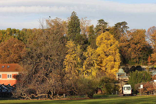 Herbstfarben in der Wilhelma