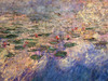 Detail of Reflections of Clouds on the Water-Lily Pond by Monet in the Museum of Modern Art, August 2007
