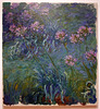 Agapanthus by Monet in the Museum of Modern Art, August 2007