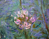 Detail of Agapanthus by Monet in the Museum of Modern Art, August 2007