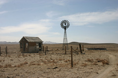 Windmill & Shack