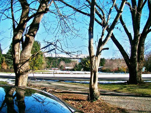 ipernity: At Kimbell above Fairlie. - by Eunice Perkins