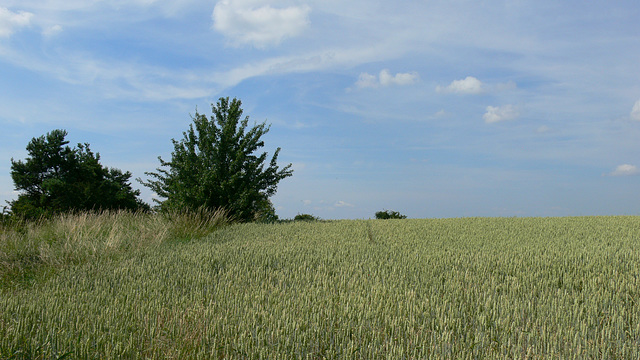 Impressionen - Münchshofener Berg