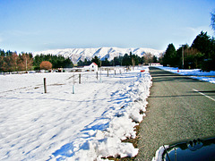 Fairlie show grounds