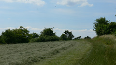 Impressionen - Münchshofener Berg