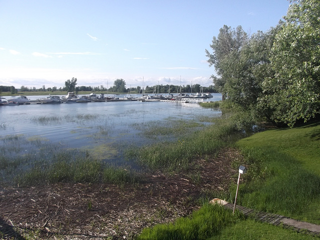 Marina d'étang le temps d'une pause / Wet garden and distant marina - June 30th 2013.