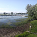 Marina d'étang le temps d'une pause / Wet garden and distant marina - June 30th 2013.