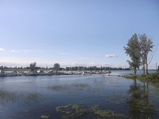 Marina d'étang le temps d'une pause / Wet garden and distant marina - June 30th 2013.