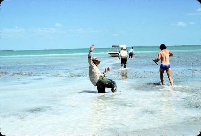 05-florida_bay_mud_adj