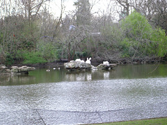 St. James Park