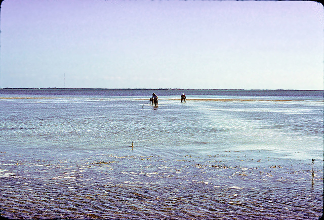 06-florida_bay_adj