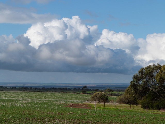 Between Callington and Kanmantoo