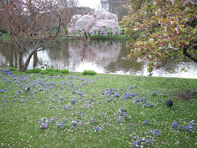 St. James's Park