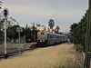 201305Tamworth 091