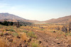 Winnemucca Road