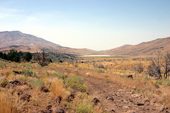 Winnemucca Road