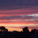 Sunset on the 4th of July from Tommy and Ellen's Backyard, July 2011