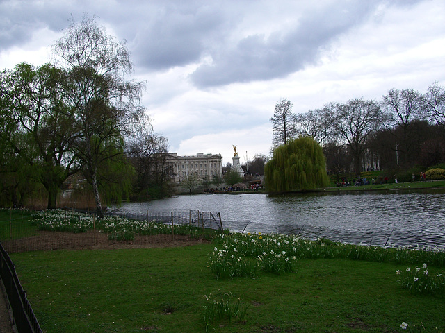 St. James's Park: Buckingham Palace