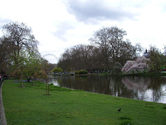 St. James's Park