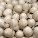 Detail of the Eggs in White Cabinet and White Table by Broodthaers in the Museum of Modern Art, August 2007