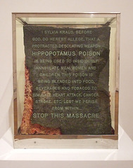 Hippopotamus Poison by Paul Thek in the Museum of Modern Art, December 2007