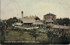 4119. College Bldg., Govt. Exp. Farm, Truro, N.S.