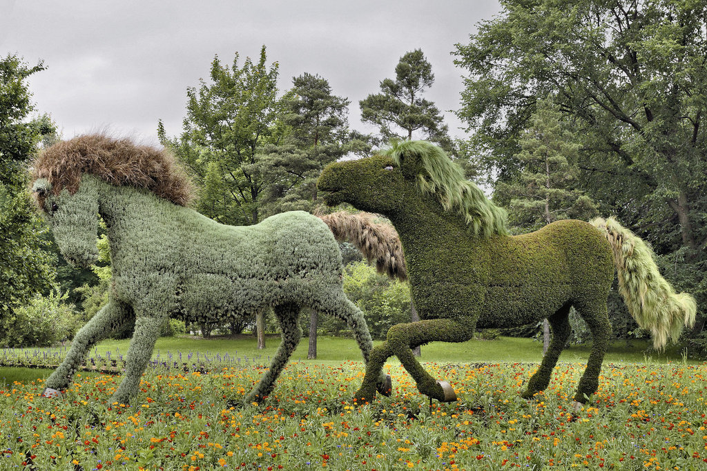 "L’homme qui plantait des arbres" #2 – Mosaïcultures Internationales de Montréal, Botanical Garden, Montréal, Québec