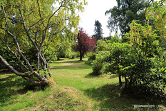 The Gardens near the pond