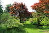 The Gardens by the pond