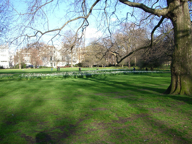 St. James's Park