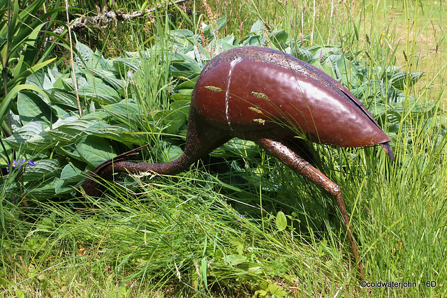 Pond Garden Heron - Detail