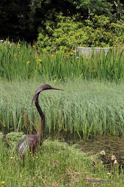 Pond Garden Heron - detail