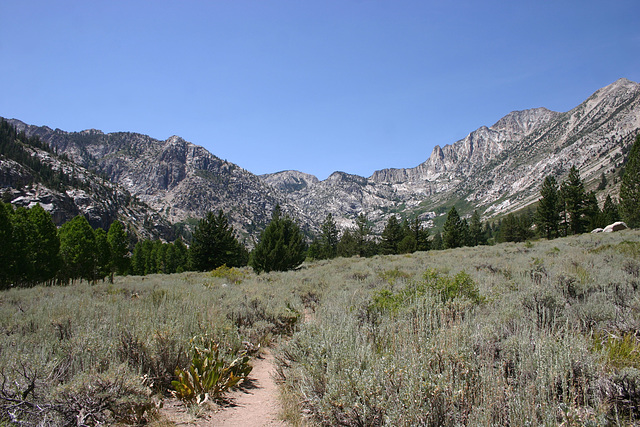 Trail to Barney Lake