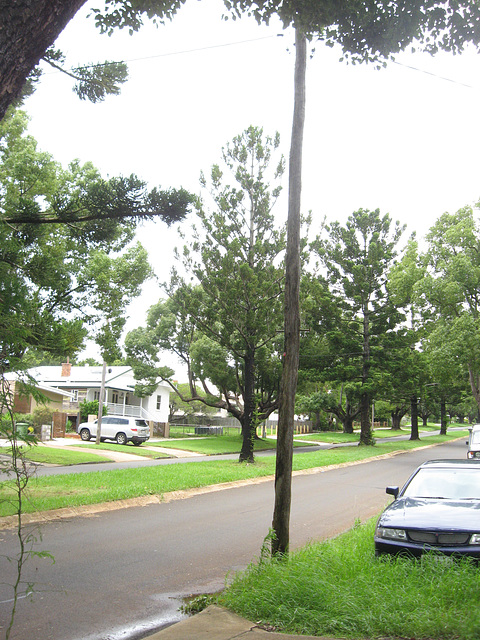 ToowoombaRainReport10012011 024