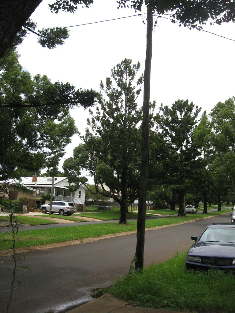 ToowoombaRainReport10012011 025