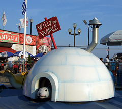 "Willy the Whale" Kiddie Ride in Deno's Wonder Wheel Park in Coney Island, June 2008