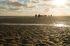 Wattwanderung auf Baltrum DSC02115