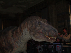 Natural History Museum: T-Rex robot