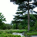 Kew Gardens