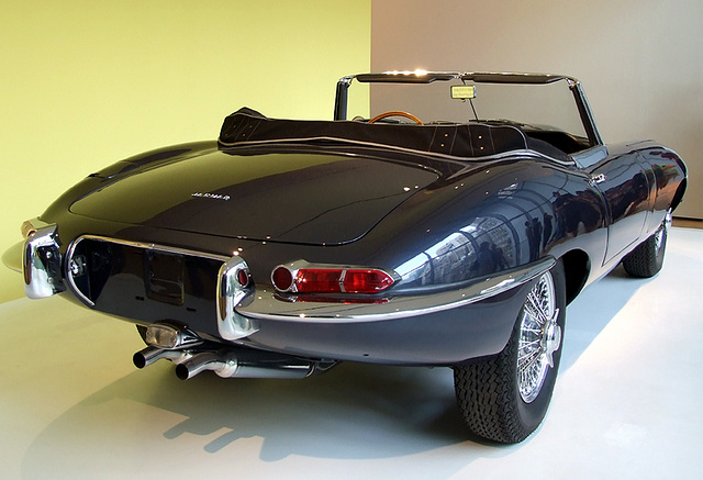 Jaguar in the Museum of Modern Art, August 2007