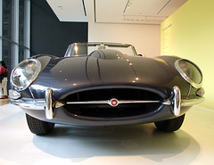 Jaguar in the Museum of Modern Art, August 2007