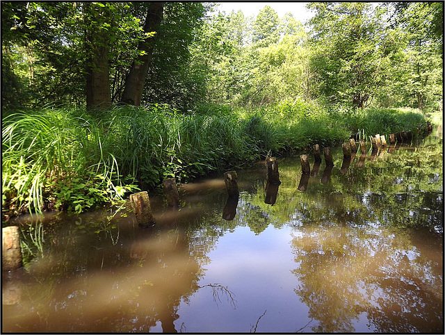 Spreewald 052