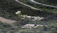 US 395 abandoned mill (0292)