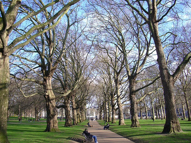 St. James's Park