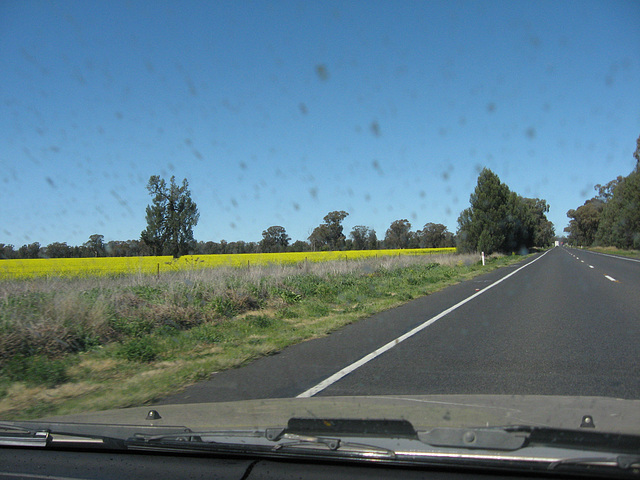 200909 Melbourne trip 016