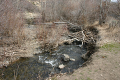 Umtanum Creek