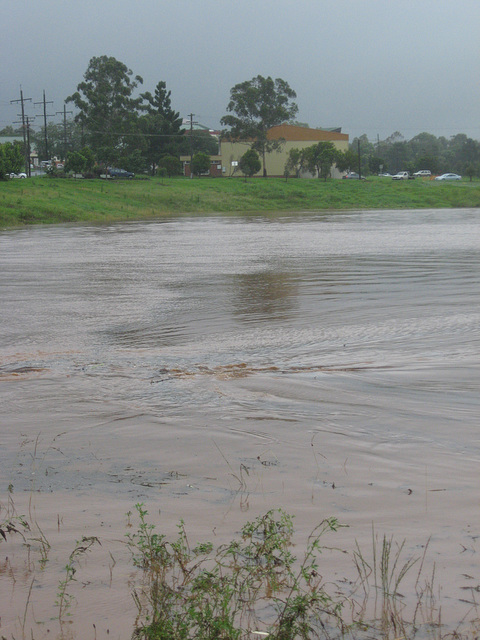 ToowoombaRainReport10012011 008