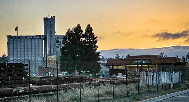 Petaluma Mill