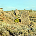 35-ruins&kiln_Frisco_UT-4-92_adj